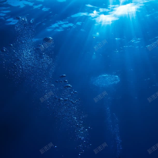 海底世界水下摄影jpg_88icon https://88icon.com 世界 摄影 水下 海底 素材