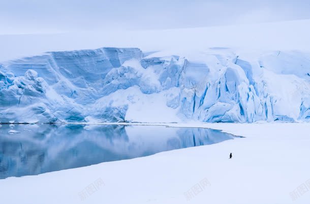 南极雪山冰面企鹅背影图jpg设计背景_88icon https://88icon.com 企鹅 冰面 南极 南极雪景 水面结冰 背影 背景 雪山