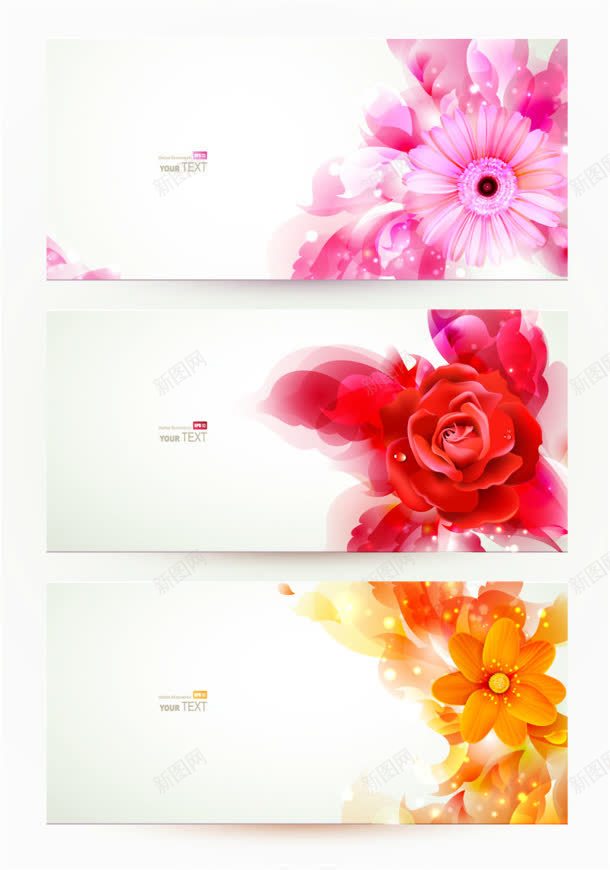 对比花卉争艳美丽jpg设计背景_88icon https://88icon.com 争艳 对比 美丽 花卉