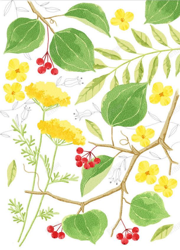 手绘卡通花朵绿叶jpg设计背景_88icon https://88icon.com 卡通 绿叶 花朵