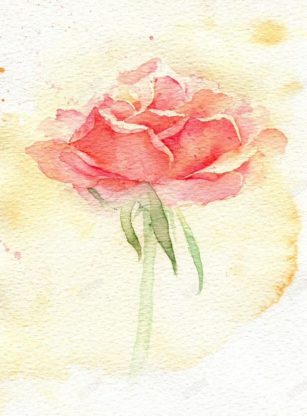 水彩粉花绿叶壁纸jpg设计背景_88icon https://88icon.com 壁纸 彩粉 绿叶