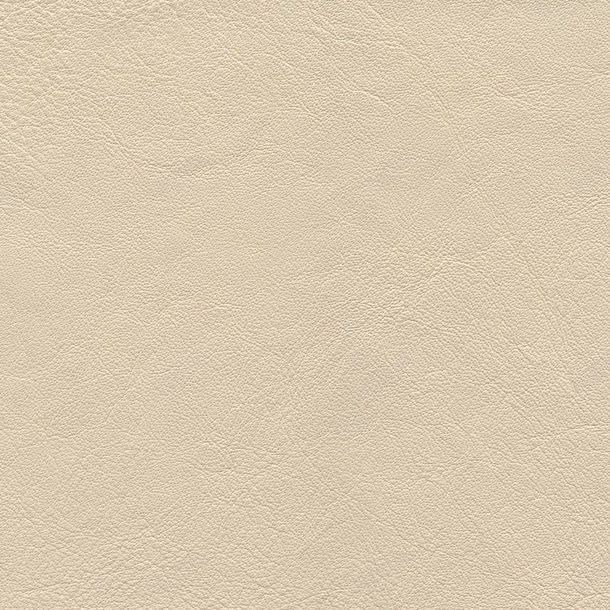 米色皮革背景jpg设计背景_88icon https://88icon.com 其它类别 图片素材 皮质背景 皮革材质背景 皮革纹理背景 皮革背景 真皮 米色皮革 米色皮革背景图片 米色皮革背景图片素材下载 背景花边