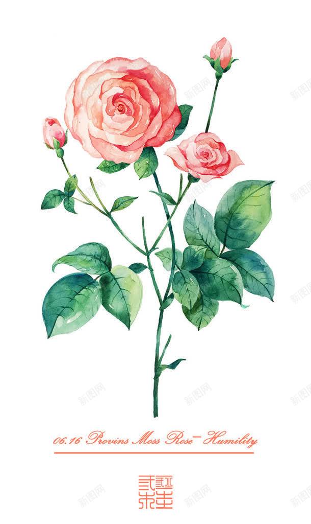 粉红色水彩花朵壁纸jpg设计背景_88icon https://88icon.com 壁纸 水彩 粉红色 花朵