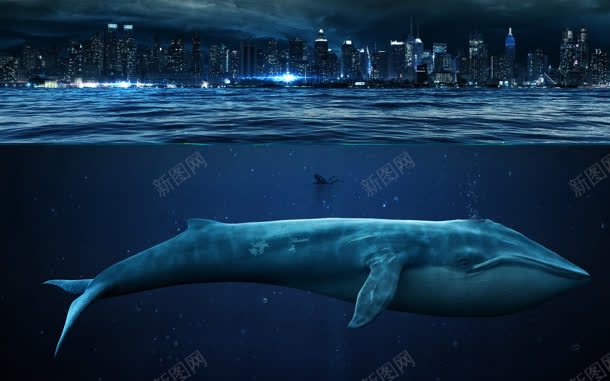 海底鲸鱼桌面壁纸jpg设计背景_88icon https://88icon.com 壁纸 桌面 海底 鲸鱼