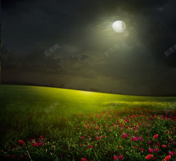 草原夜晚风景jpg设计背景_88icon https://88icon.com 其它类别 图片素材 星空草原 月亮 月色 树木 美丽风景 背景花边 草原夜晚风景图片 草原夜晚风景图片素材下载 草原夜景 草原风景 草地 鲜花草地