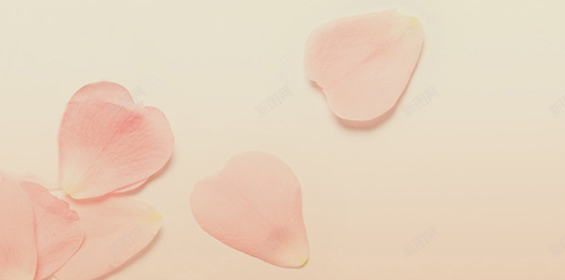 粉色玫瑰花瓣H5背景jpg设计背景_88icon https://88icon.com H5背景素材 小清新 文艺 玫瑰 简约 粉色 花瓣