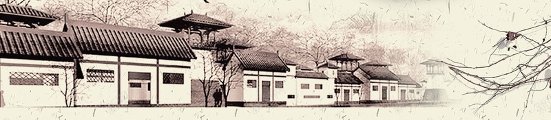 中国风简约中国美食汤圆美食psd设计背景_88icon https://88icon.com 元宵节 宁波汤圆 汤圆 汤圆包装 汤圆宣传单 汤圆店加盟 汤圆节 浮元子 芝麻
