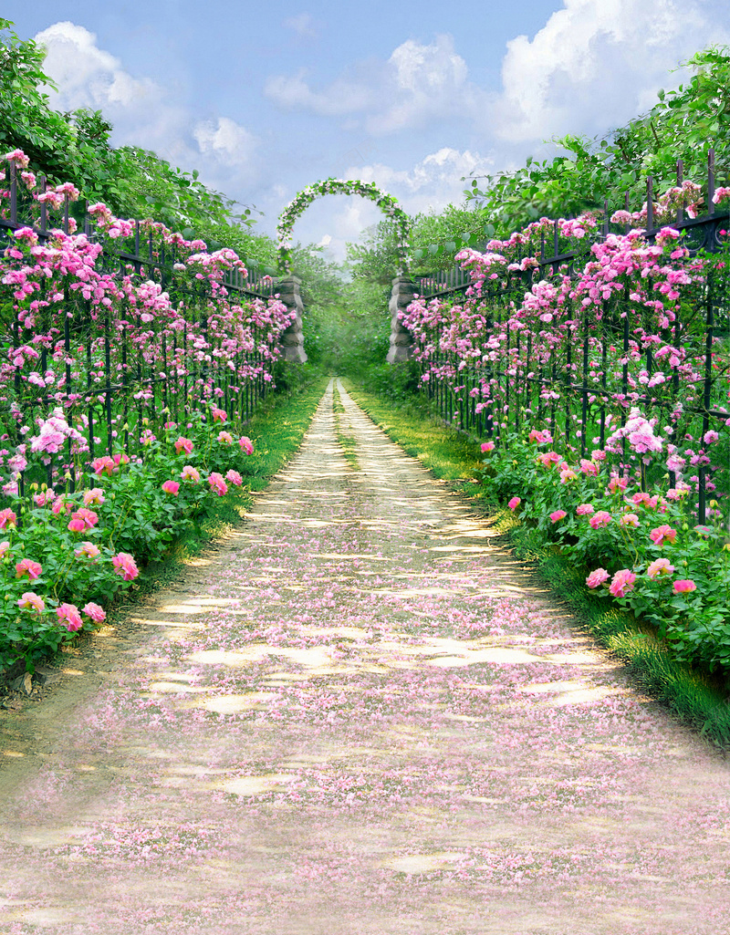 花林小路清新花卉风景平面广告cdr设计背景_88icon https://88icon.com 婚纱照 小路 平面广告 摄影 旅游 景点 绿色树叶 花卉 蓝天白云 风景