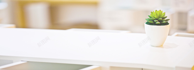 可爱多肉背景jpg设计背景_88icon https://88icon.com 书桌 多肉 小清新 文艺 植物 海报banner 简约 绿色