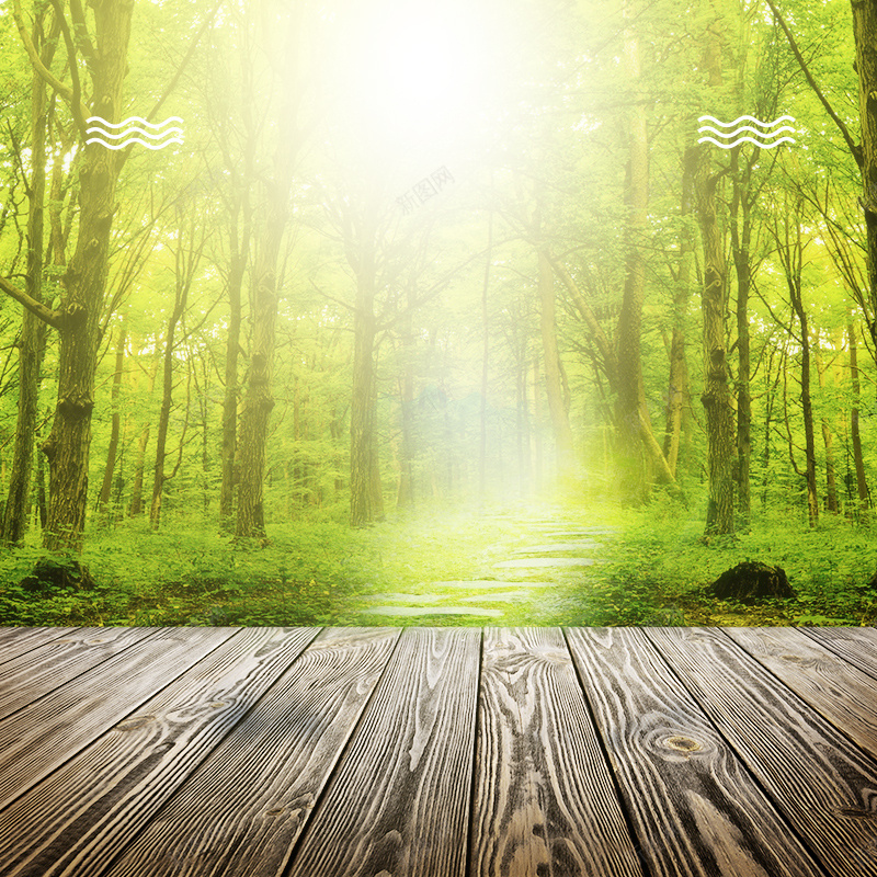 绿色森林床垫枕头PSD分层主图背景psd设计背景_88icon https://88icon.com 主图 乳胶枕 净化器 加湿器 小家电 床垫 木材 木板 枕头 淘宝 直通车 绿色森林 绿色背景
