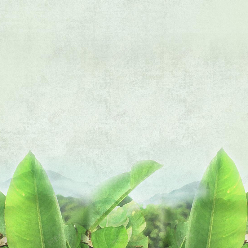 质感绿叶纹理背景jpg设计背景_88icon https://88icon.com 主图 文艺 清新 简约 纹理 绿叶 质感