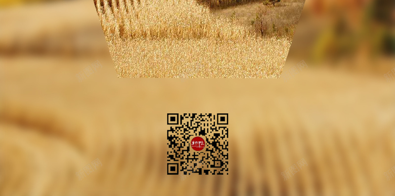 秋天的风景海报jpg设计背景_88icon https://88icon.com 小麦 海报 秋天 落叶