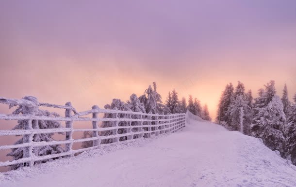 紫色梦幻雪地树林jpg设计背景_88icon https://88icon.com 树林 梦幻 紫色 雪地