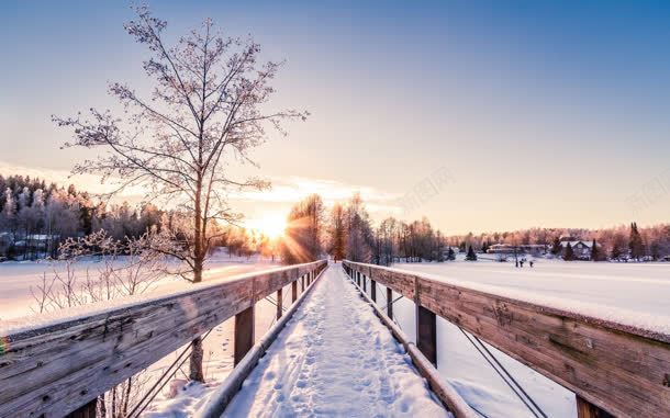 冬日小路树木雪花jpg设计背景_88icon https://88icon.com 冬日 小路 树木 雪花