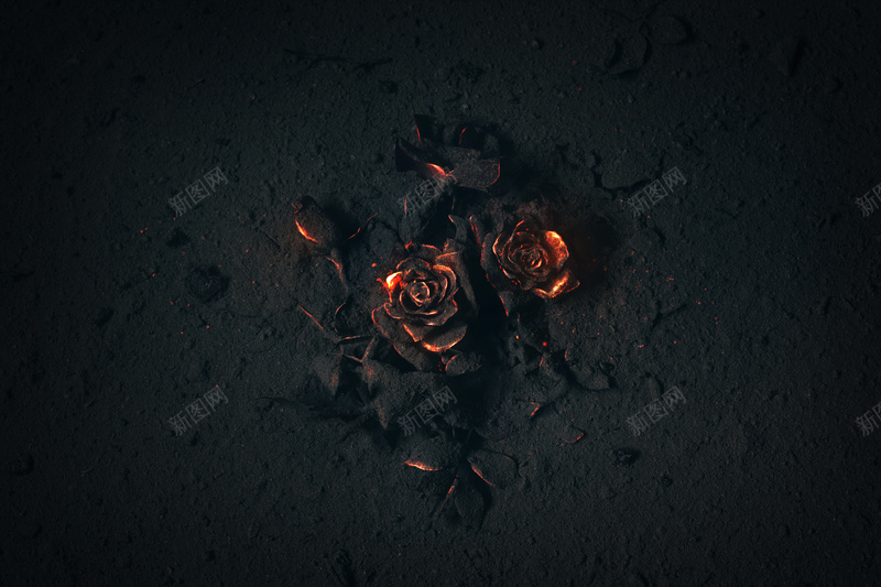 灰烬的地面上燃烧的玫瑰花背景jpg设计背景_88icon https://88icon.com PPT 创意 另类 地面 文艺 灰烬 热烈 燃烧 玫瑰花 黑色