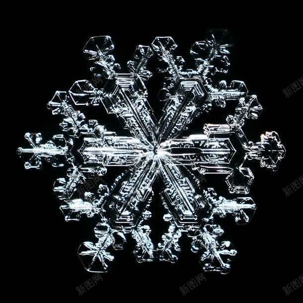 漂亮的冰晶体雪花jpg设计背景_88icon https://88icon.com 其他生物 其它类别 冰晶体 冰结晶 图片素材 漂亮 漂亮的冰晶体雪花图片图片 漂亮的冰晶体雪花图片图片素材下载 生物世界 背景花边 透明 雪花 黑色背景