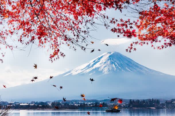 雪山下平静湖面花朵jpg设计背景_88icon https://88icon.com 平静 湖面 花朵 雪山