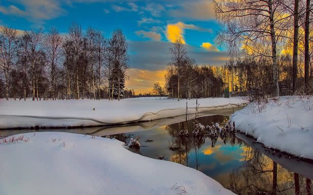 雪地景观树林大树jpg设计背景_88icon https://88icon.com 大树 景观 树林 雪地