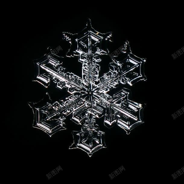黑色背景下的冰晶雪花jpg设计背景_88icon https://88icon.com 其他生物 其它类别 冰晶 冰结晶 图片素材 生物世界 背景花边 透明 雪花 黑色底图 黑色背景 黑色背景下的冰晶雪花图片图片 黑色背景下的冰晶雪花图片图片素材下载