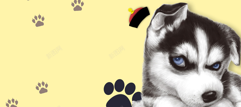 宠物美容卡通手绘简约bannerpsd设计背景_88icon https://88icon.com 宠物健康 宠物医疗 宠物护理 宠物美容 宠物食品 手绘 手绘哈士奇 清新 简约 脚印 萌宠