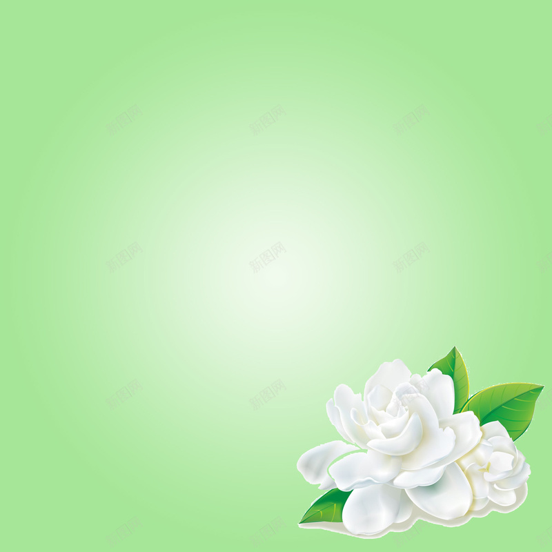 淡绿色纯色唯美简约茉莉花背景psd设计背景_88icon https://88icon.com 唯美 文艺 淡绿色 清新 渐变 简约 纯色 背景 茉莉花