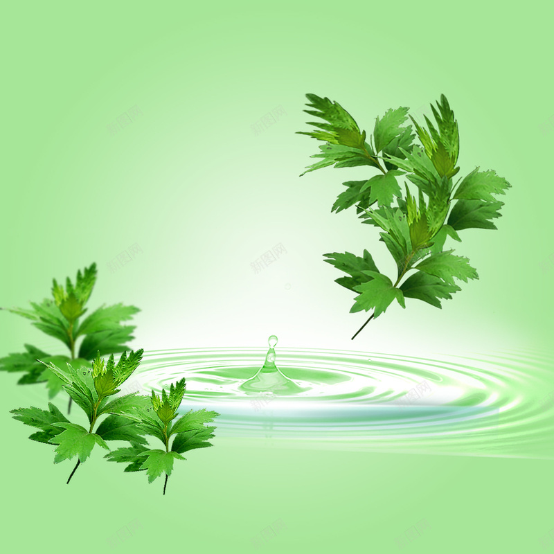 淡绿色水纹艾草背景psd设计背景_88icon https://88icon.com 健康 化妆品 水纹 淡绿色 清新 简约 绿色 背景 艾草