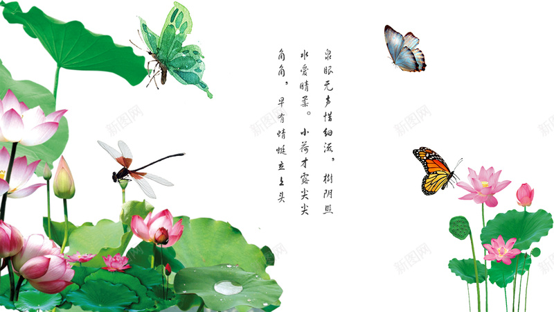 荷花蝴蝶蜻蜓psd设计背景_88icon https://88icon.com psd 荷花 蜻蜓 蝴蝶