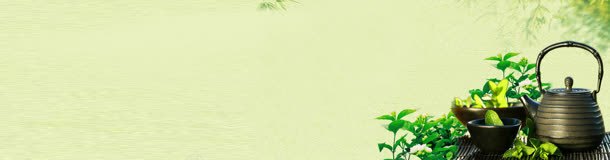 唯美淡雅茶叶文化banner背景jpg设计背景_88icon https://88icon.com 中国风 古典 茶 茶具 茶叶 茶叶海报 行业网站