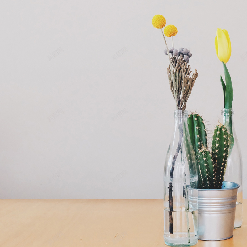 文艺室内盆栽家居背景图jpg设计背景_88icon https://88icon.com 主图 仙人掌 室内 家居 小清新 文艺 盆栽 简约 花朵