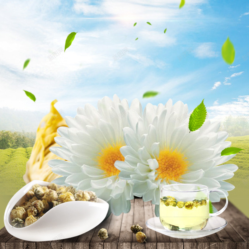 简约菊花茶饮料PSD分层主图背景jpg设计背景_88icon https://88icon.com 主图 木板 淘宝 漂浮绿叶 白色菊花 直通车 简约背景 花茶 菊花 菊花茶 蓝天背景 食品促销