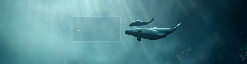 清新简约大气海报背景psd设计背景_88icon https://88icon.com 促销 光效 光晕 光线 光芒 几何 双十二 发光 唯美 图片素材 多边形 大气 底纹边框 手绘 抽象 星光 浅色 浪漫 海报ban 海报背景 淘宝banner 淘宝海报 清新 清爽 灯光 炫酷 白色 眩光 科技之光 科技背景 简单 简约 缤纷 背景 背景底纹 色彩 花朵 设计 质感 速度 酷感 高清