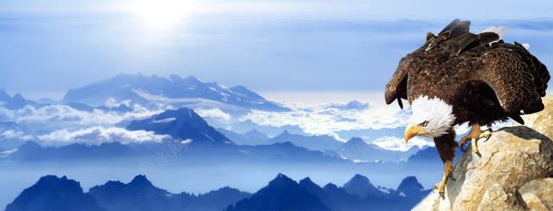 企业文化展板海报背景jpg设计背景_88icon https://88icon.com psd素材 企业文化 冒险 标语 梦想 模板下载 科教 网页素材