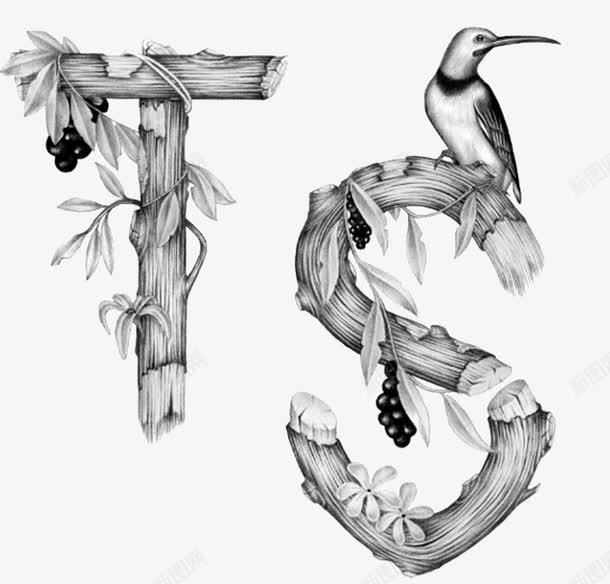 写实素描鸟英文字母TSpng免抠素材_88icon https://88icon.com TS 写实 客厅装饰画 手绘 看图识字卡,看图识字 素描 英文字母 葡萄 鸟类素材 黑白