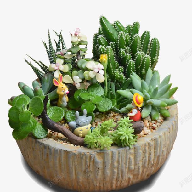 圆形石头盆栽png免抠素材_88icon https://88icon.com 多肉 植物 盆栽 绿色 花卉