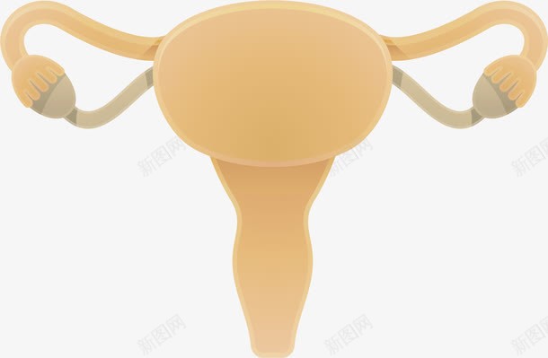 人体的器官卡通医药png免抠素材_88icon https://88icon.com 人体 器官 生物医药 生物医药产业 生物医药展板 生物医药广告 生物医药整容