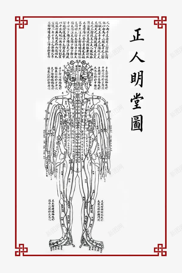 五行人体图png免抠素材_88icon https://88icon.com 中医 中医养生 中医文化 五行人体图 五行人体图图片 五行图 人体图 人体经络图 传统中医 医院版面 十二 古代经络图 广告设计 经络图 背部 设计