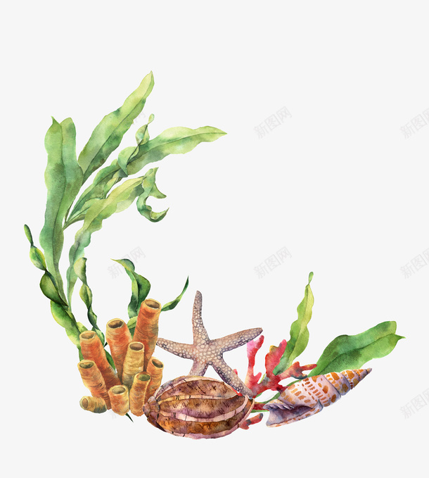 手绘海洋生物植物装饰png免抠素材_88icon https://88icon.com 小清新花草装饰 文艺花草PPT制作 植物插画 海报设计 海星 海洋花草 海螺 花草包装礼盒 花草插画 花草装饰