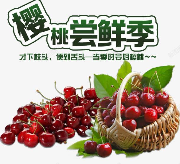 樱桃尝鲜季png免抠素材_88icon https://88icon.com 吃樱桃 批发樱桃 摘樱桃 新鲜樱桃 樱 樱桃 樱桃专卖 樱桃园 樱桃基地 樱桃尝鲜季 樱桃尝鲜季艺术字 樱桃批发 樱桃果园 樱桃树 樱桃水果 樱桃熟了 樱桃特写 樱桃素材 水果樱桃 种植樱桃 美味樱桃