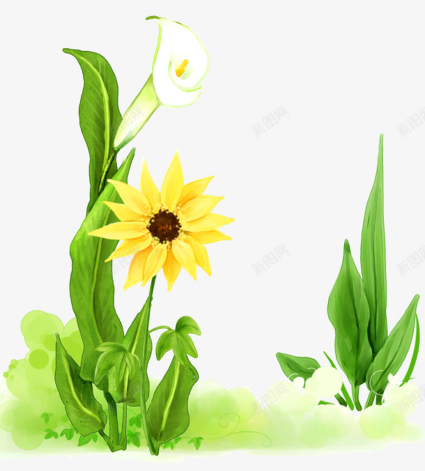 清新植物psd免抠素材_88icon https://88icon.com 向日葵 春天 白色花朵 绿色植物 花朵