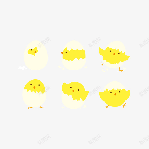 简约可爱蛋壳雏鸡矢量图ai免抠素材_88icon https://88icon.com 卡通 可爱 家禽 小鸡 破壳 简洁 简约 蛋壳 雏鸡 鸡 鸡蛋 矢量图