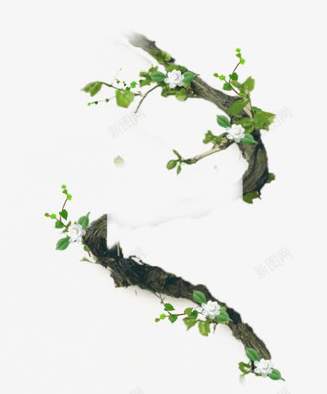 绿色藤蔓png免抠素材_88icon https://88icon.com 枝蔓 树枝 绿色 藤蔓