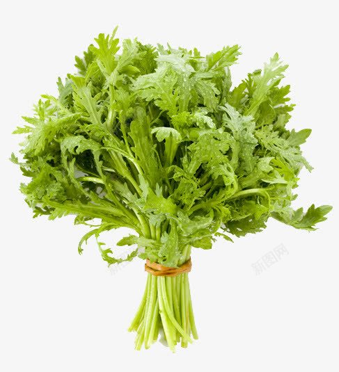 新鲜茼蒿png免抠素材_88icon https://88icon.com 一捆茼蒿 实物 新鲜茼蒿 绿色 茼蒿 蔬菜 食材 香菇青菜