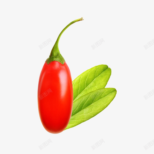 鲜枸杞png免抠素材_88icon https://88icon.com 产品实物鲜枸杞 单个鲜枸杞 新鲜鲜枸杞 红色鲜枸杞 美味鲜枸杞 鲜枸杞