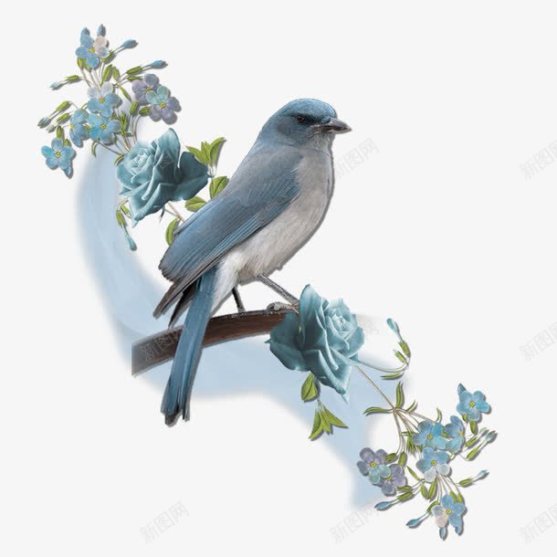 枝头上的蓝色小鸟png免抠素材_88icon https://88icon.com 枝头 玫瑰 花朵 花纹 鸟