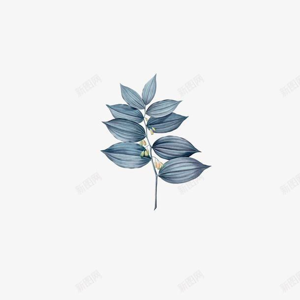 蓝色水墨风格树叶元素png免抠素材_88icon https://88icon.com 叶子 树叶 水墨风树叶 蓝色树叶