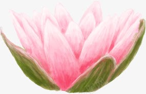 手绘粉色荷花旅游展板png免抠素材_88icon https://88icon.com 展板 旅游 粉色 荷花