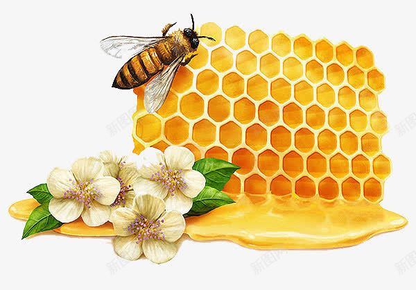 蜂巢png免抠素材_88icon https://88icon.com 卡通 手绘 花 蜂巢 蜂蜜 蜜蜂