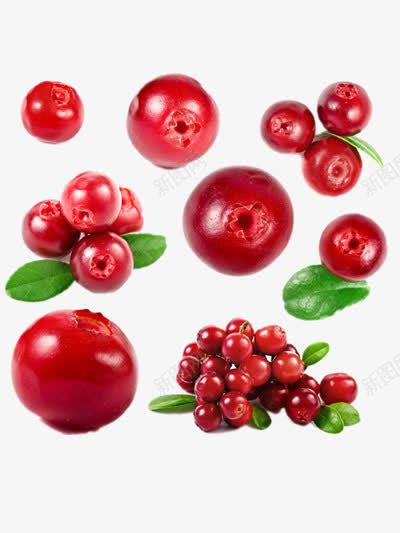 蔓越莓png免抠素材_88icon https://88icon.com 新鲜蔬果 水果 美食
