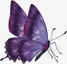 春天紫色光效蝴蝶png免抠素材_88icon https://88icon.com 春天 紫色 蝴蝶