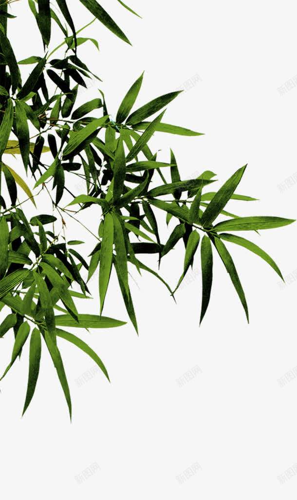 绿色竹子古典诗词页面png免抠素材_88icon https://88icon.com 古典 竹子 绿色 诗词 页面